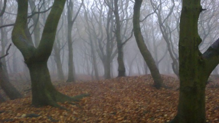 Облачно и мъгливо, но все още топло ноемврийско време