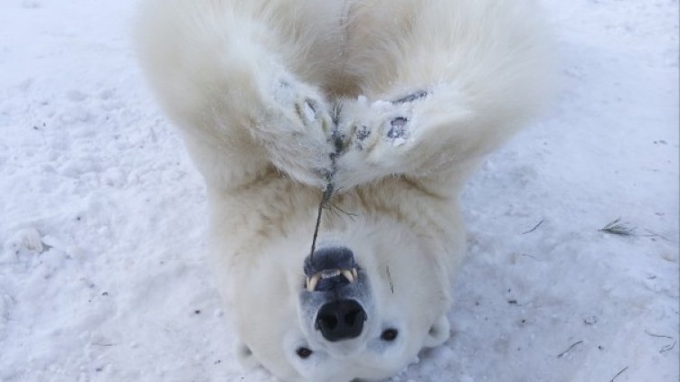 Снимка: Reuters