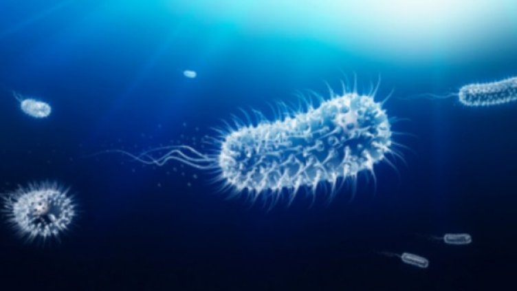 Снимка: Getty Images