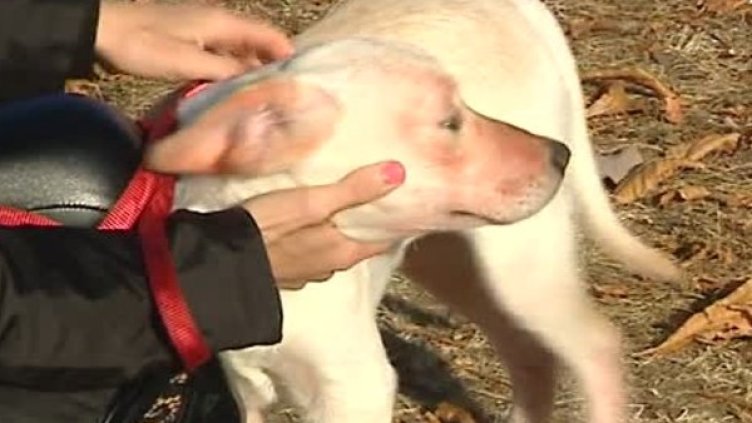 Снимка: Bulgaria ON AIR