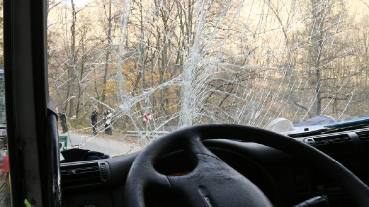 Снимка: архив, БулФото