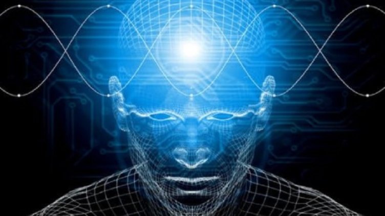 Снимка:  RD Revilo