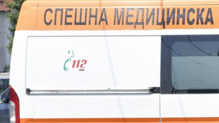 Снимка: Архив, Булфото