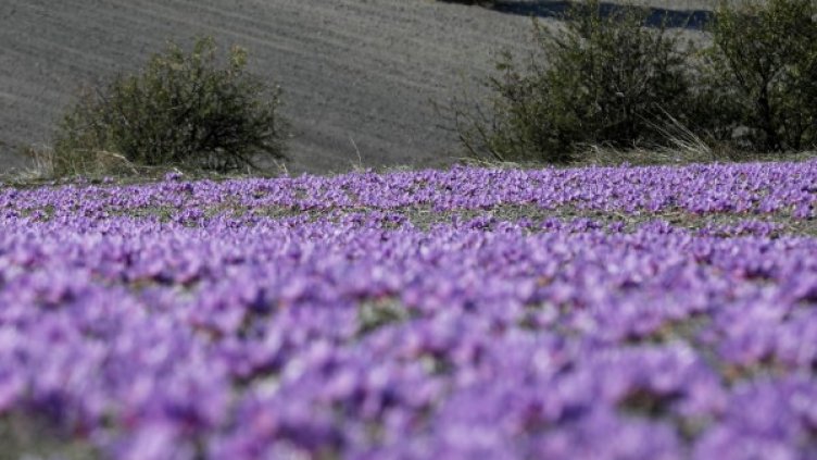 Снимкa: Reuters, архив