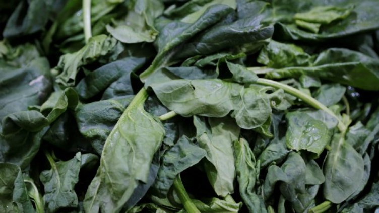 Спанак, а отровен: Пострадал ще си търси правата в съда