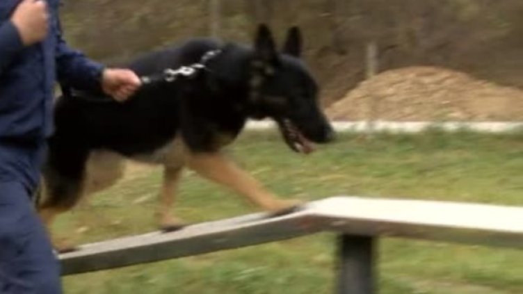 Снимка: Bulgaria ON AIR