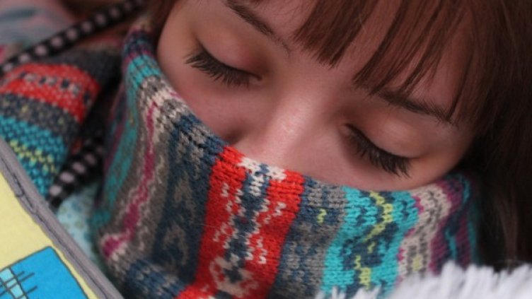 Снимка: pexels.com