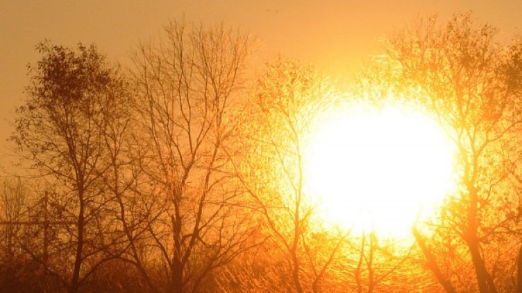 Снимка: flickr