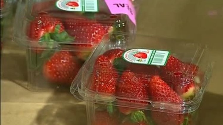 Снимка: Bulgaria ON AIR