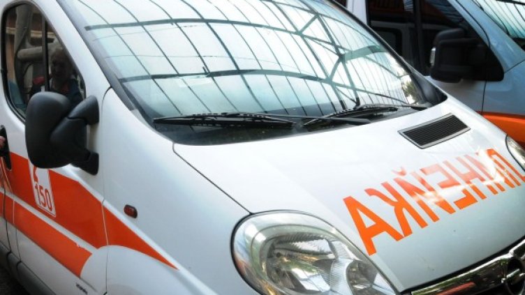 Снимка: Булфото