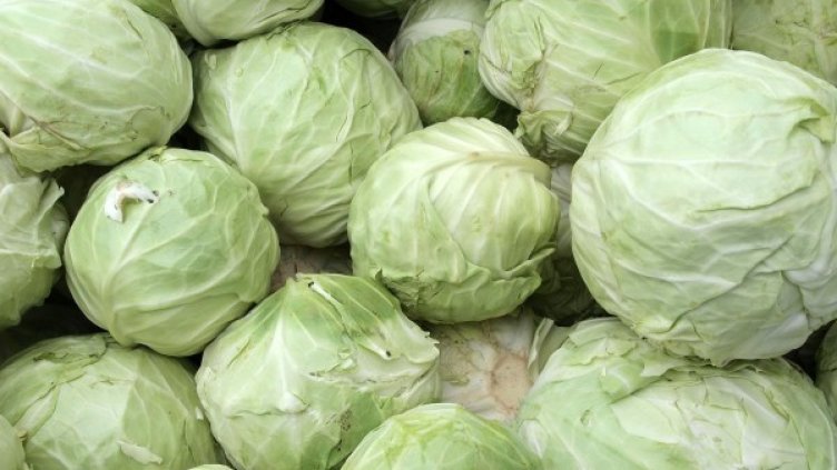 Снимка: архив, БулФото