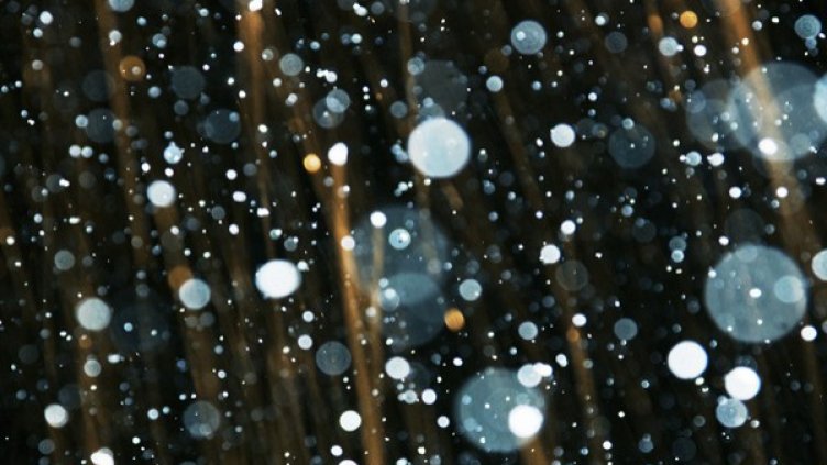 Снимка: flickr