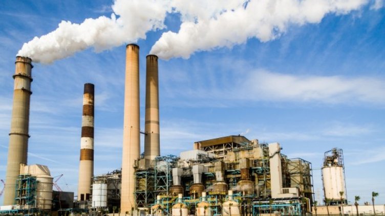 Снимка: pixabay