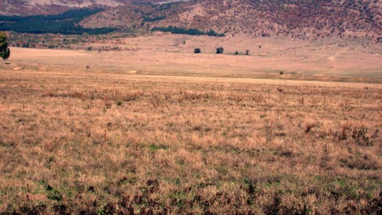 Архив: Булфото