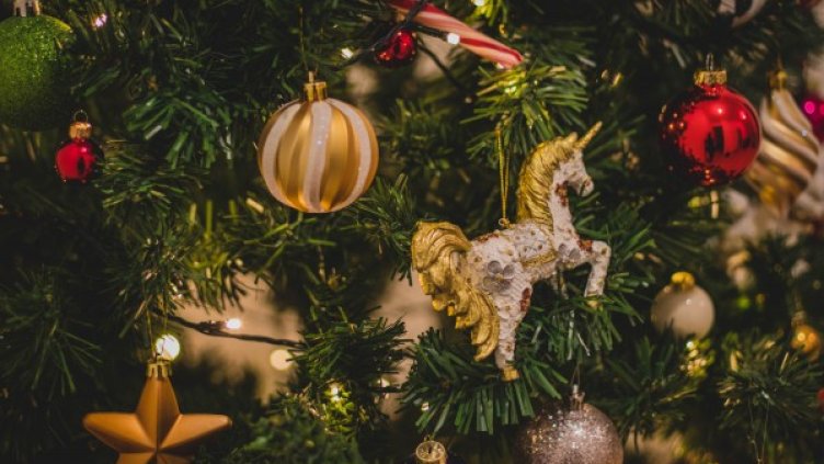 Снимка: Pexels