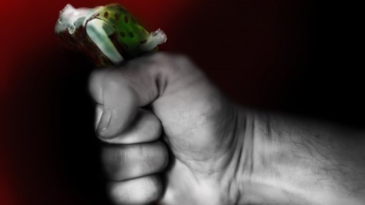 Снимка: Pixabay