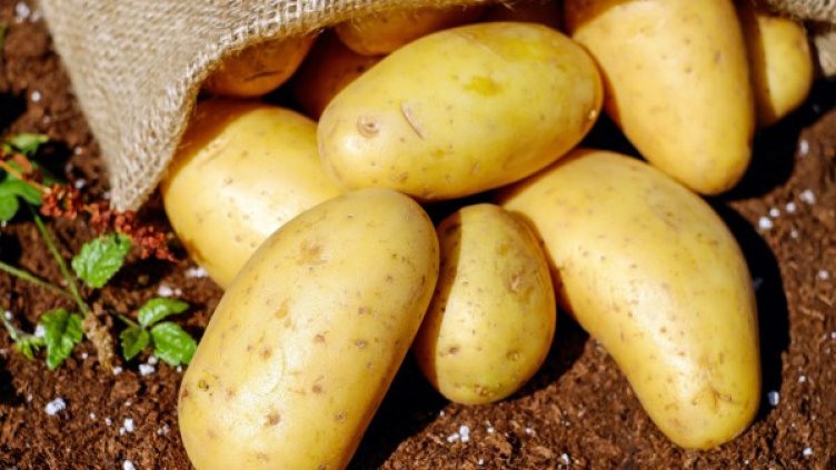 Снимка: Pexels