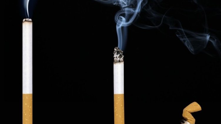 Снимка: pixabay