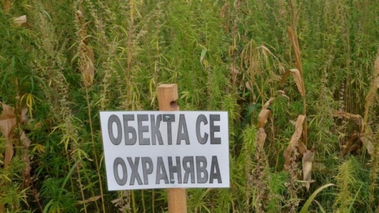 Снимка: Булфото, архив