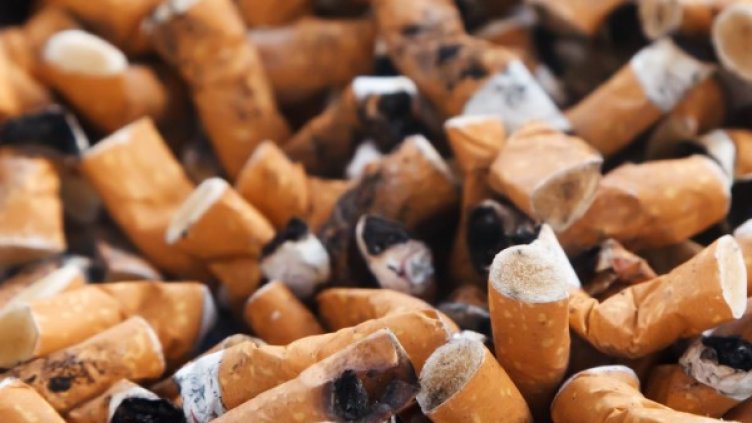 Снимка: pexels