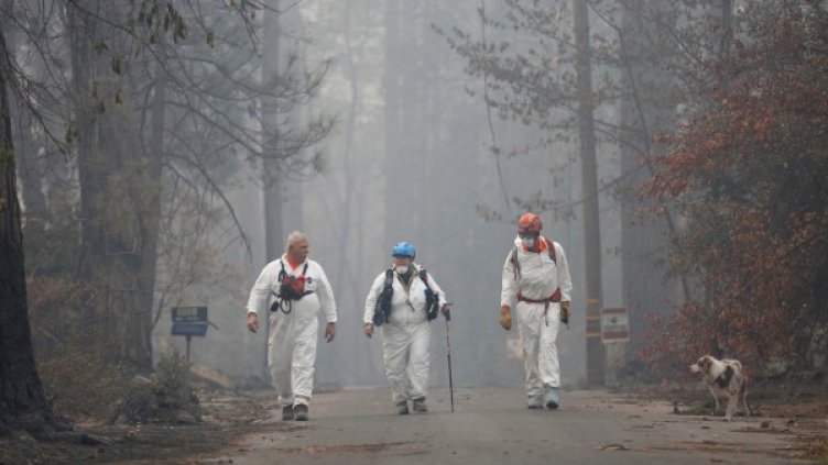 Снимка: Reuters