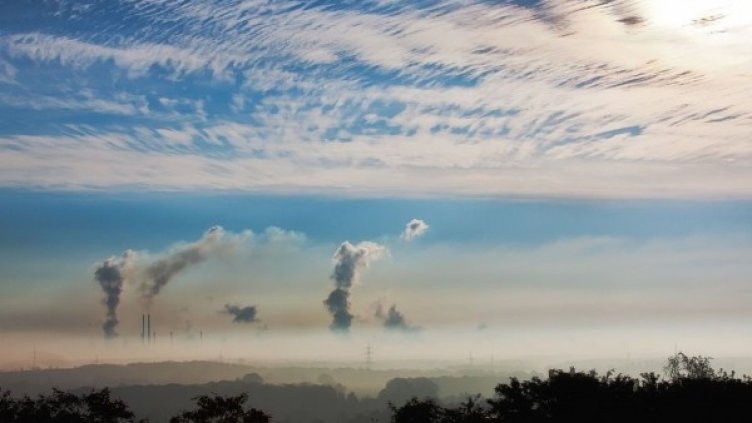 Снимка: pixabay