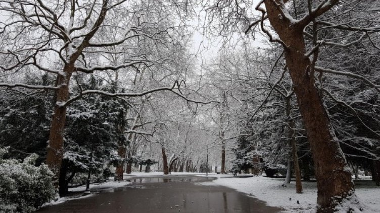 На места се очаква снежна покривка. Снимка: Булфото