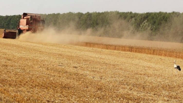 Снимка: архив, Булфото