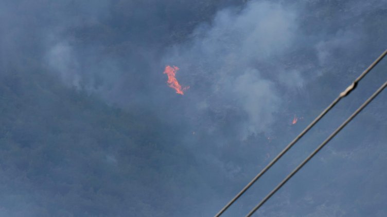 БГНЕС, архив