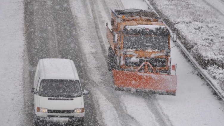 Снимка: архив "Булфото"