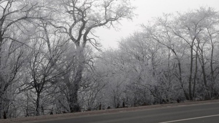 Архив: Булфото