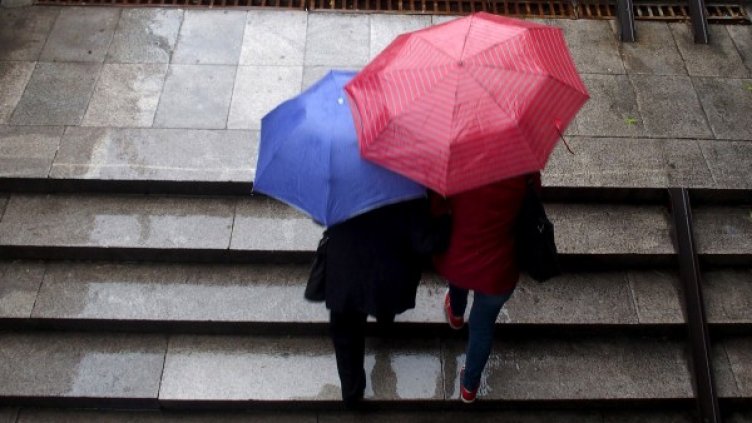 Архив: Булфото