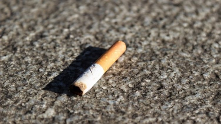 Снимка: pixabay