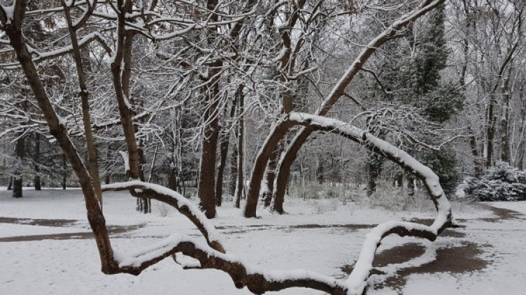 Снимка: Булфото, архив