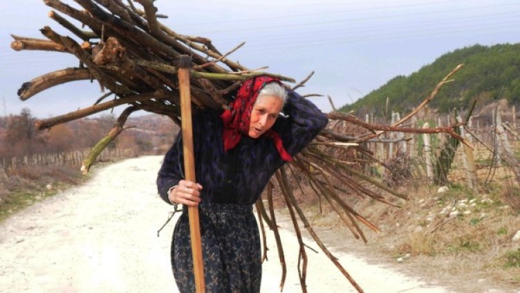 Снимка: архив "Булфото"