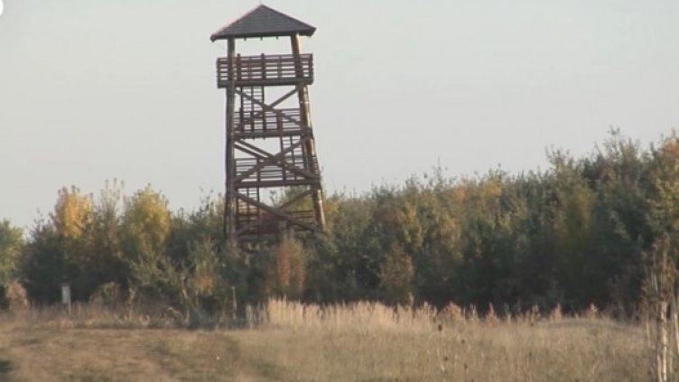 100 кули за хиляди евро в унгарските поля &ndash; паметник на корупцията?