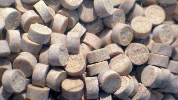 Архив: Булфото