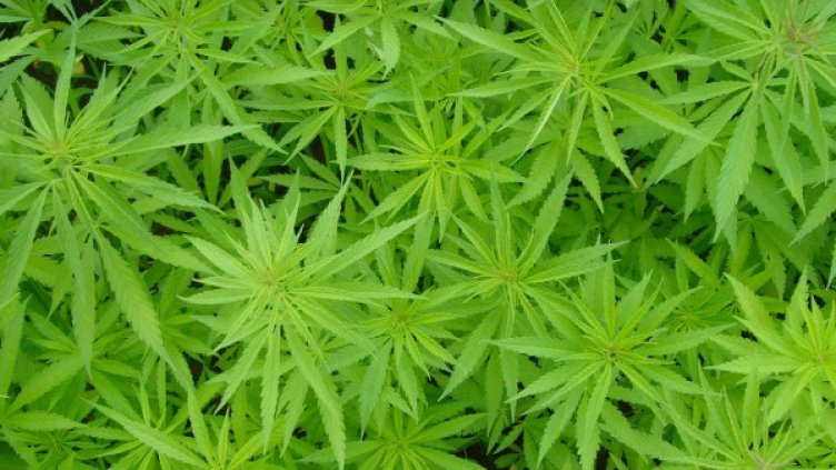 Архив: Булфото