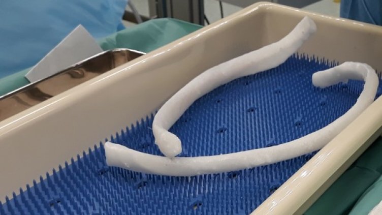 Снимка: Болница Токуда