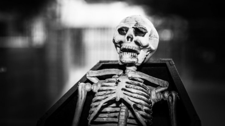 Снимка: Pixabay