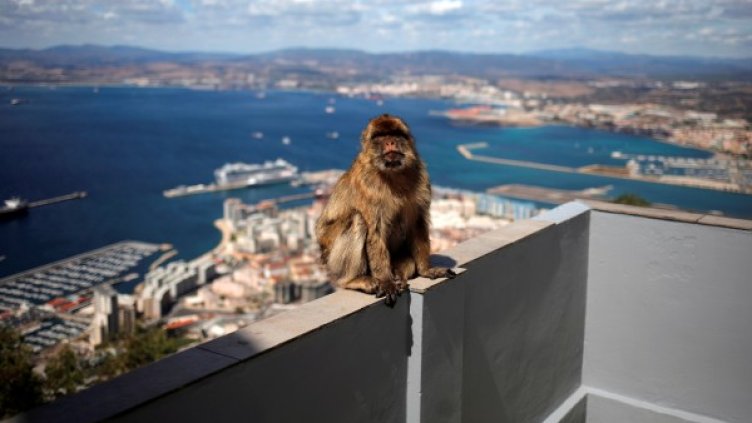 Снимкa: Reuters, архив