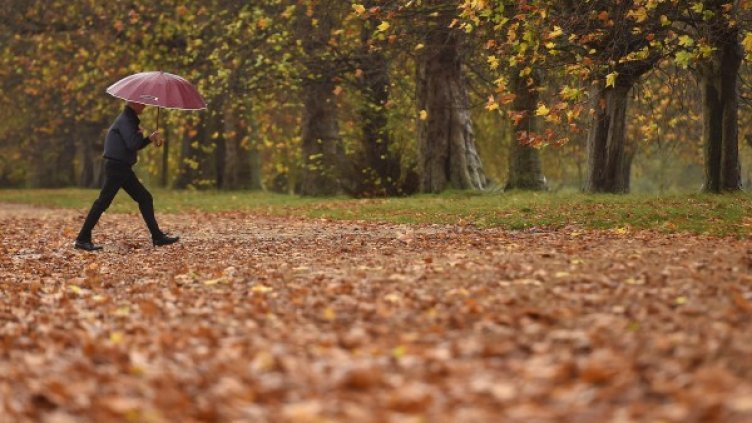 Снимкa: Reuters, архив