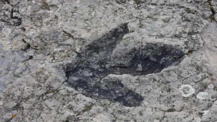 Снимка: pixabay