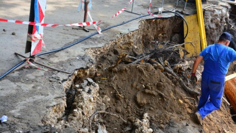 Снимка: Булфото