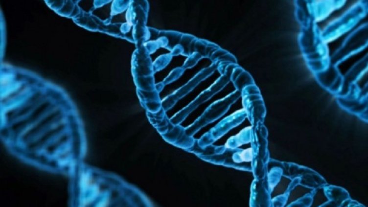 Снимка: Flickr