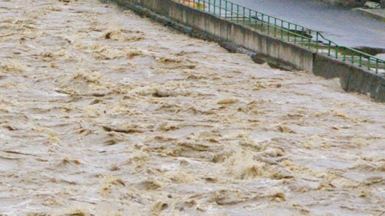 Снимка: Булфото, архив