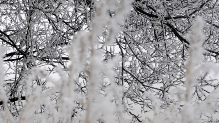 Снимка: архив, БулФото