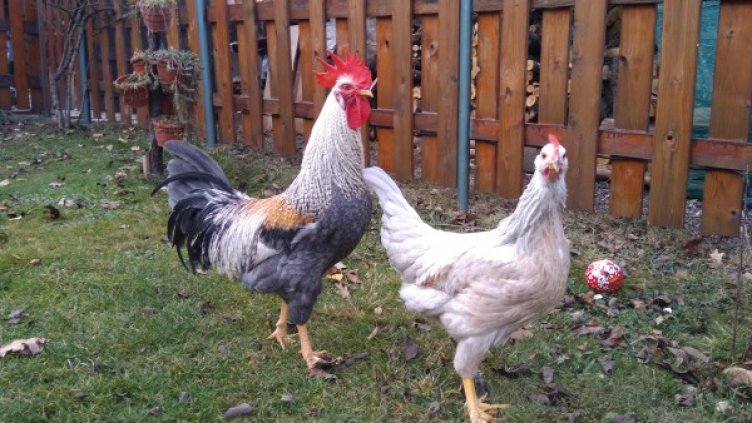 Снимка: Личен архив