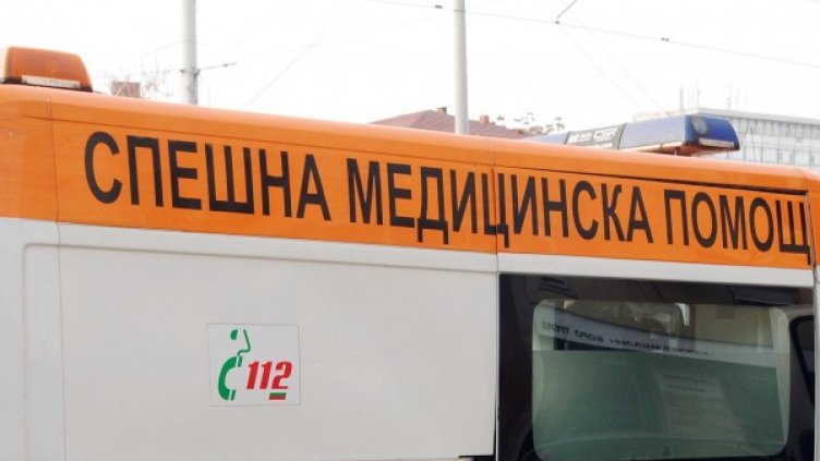 Снимка: Архив, Булфото