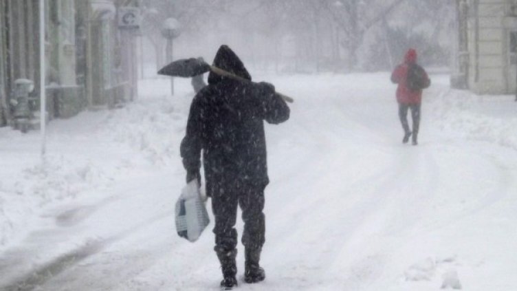 Снимка: Булфото, архив